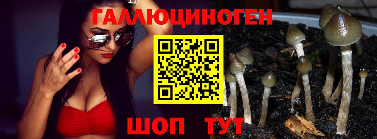 Псилоцибиновые грибы Psilocybe  Вход с VPN  Рыбинск  Псилоцибиновые грибы Psilocybe 
